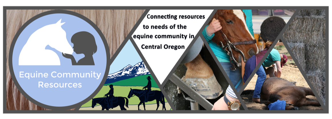 Equine Community Resources